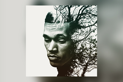 Trip Lee x Rise x Album Cover Reveal